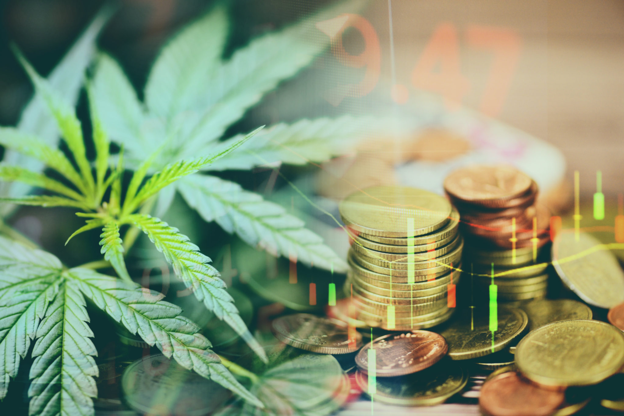 best cannabis cryptocurrency