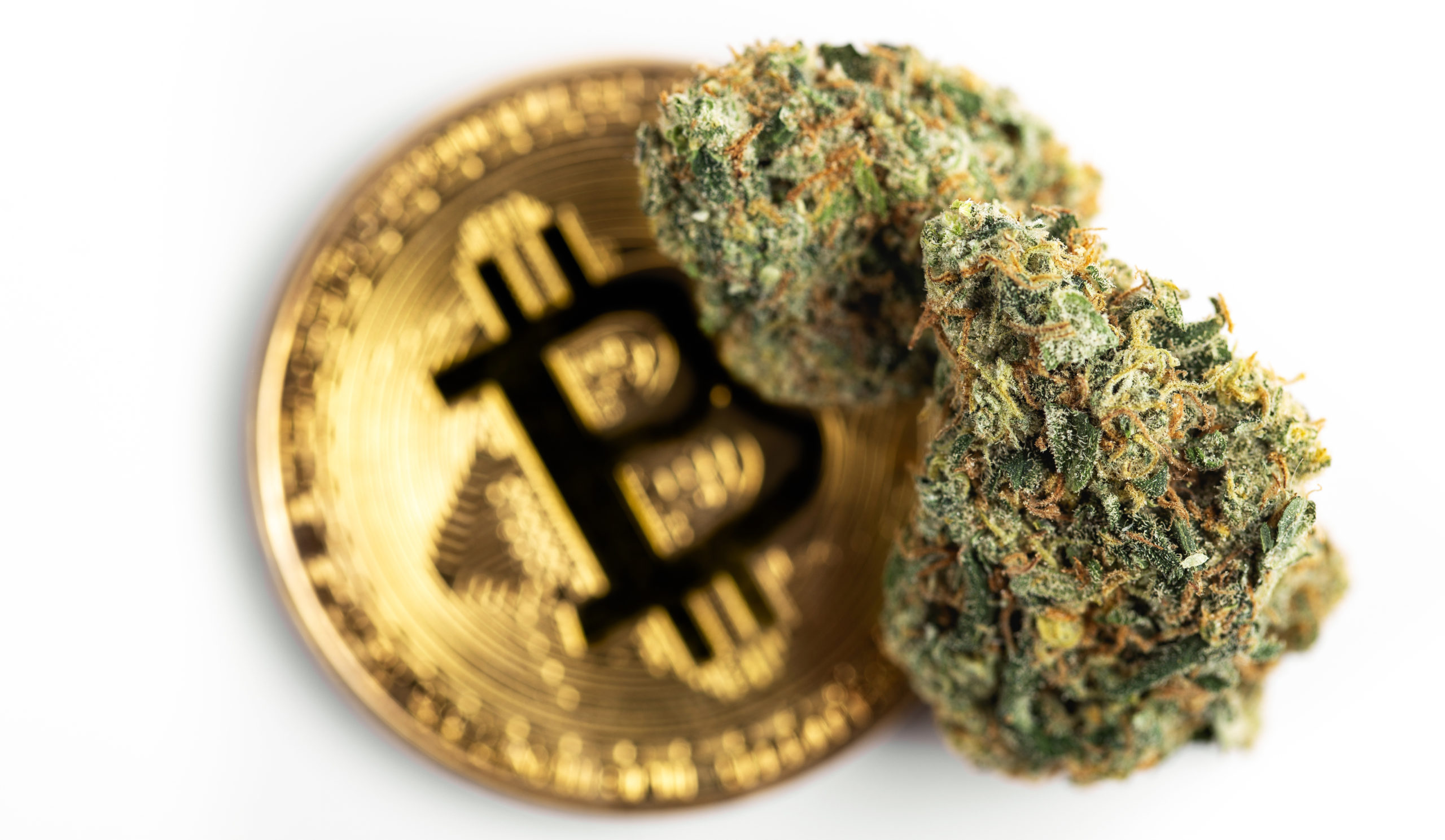cannabis and cryptocurrency the time is now